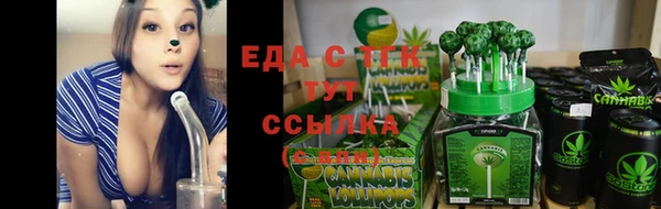 тгк Арсеньев