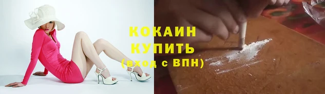 тгк Арсеньев