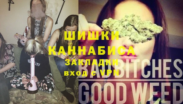 тгк Арсеньев