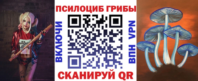 где продают   Артёмовский  Псилоцибиновые грибы Cubensis 