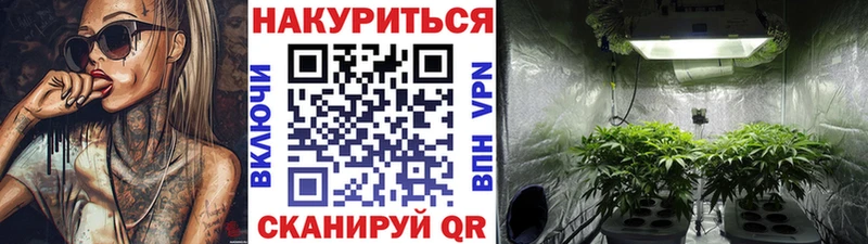 Каннабис OG Kush Артёмовский